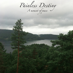 日本无遮挡真人祼交视频
